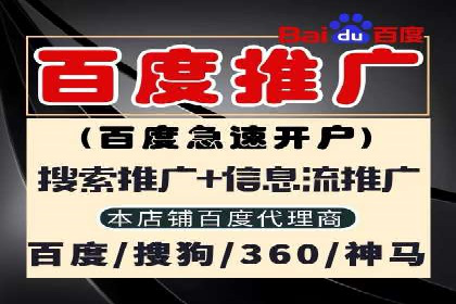百度广告竞价效果评估：某知名品牌的投放效果分析